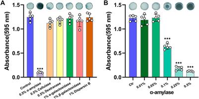 <mark class="highlighted">D-arginine</mark> Enhances the Effect of Alpha-Amylase on Disassembling Actinomyces viscosus Biofilm